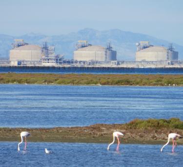 environnement nature autour des TMF